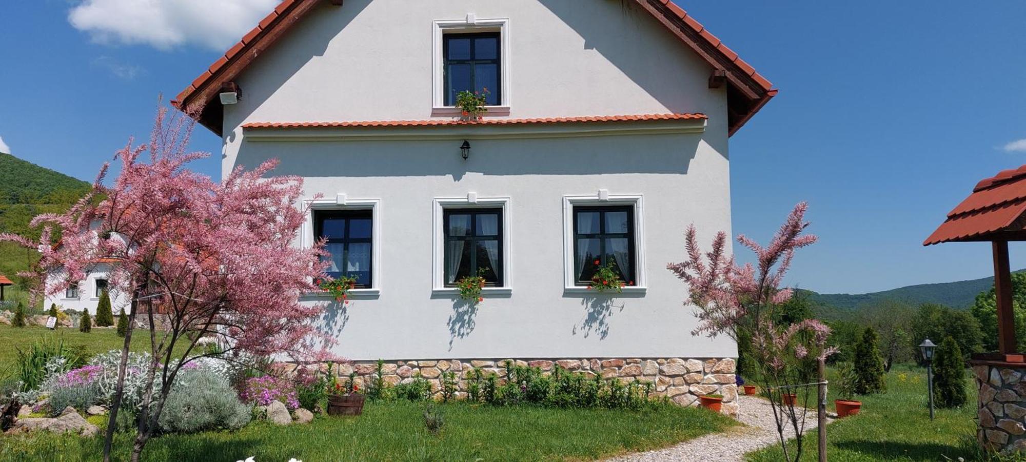 Pensiunea Kiralylany Vendeghaz Rimetea Bagian luar foto